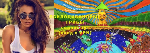 не бодяженный Белокуриха