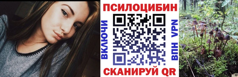Псилоцибиновые грибы Magic Shrooms  купить  сайты  Сковородино 